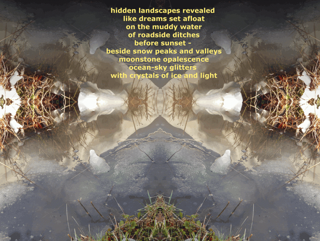 hidden landscapes 2 for social media image 10