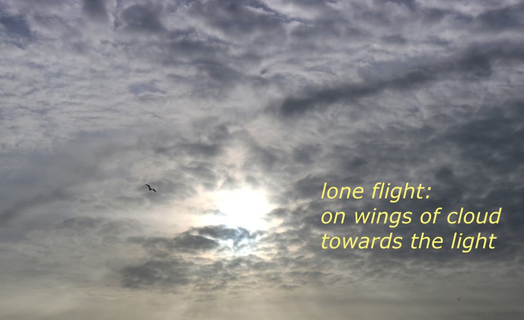 smaller Lone flight