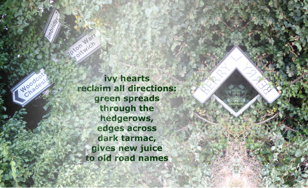 all directions background double with poem smaller size